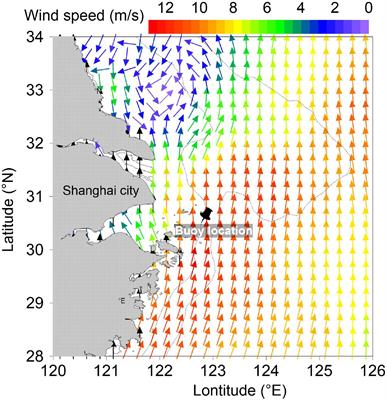 Biological CO2 Uptake and Upwelling Regulate the Air-Sea CO2 Flux in the Changjiang Plume Under South Winds in Summer